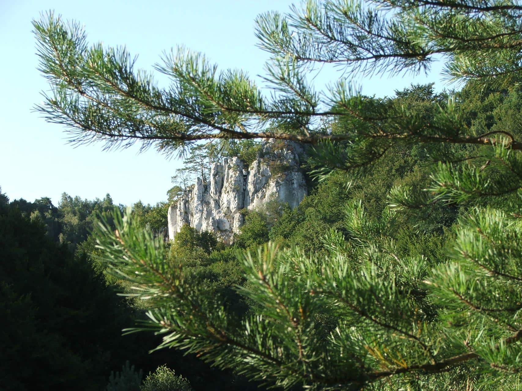 parallax image for index page